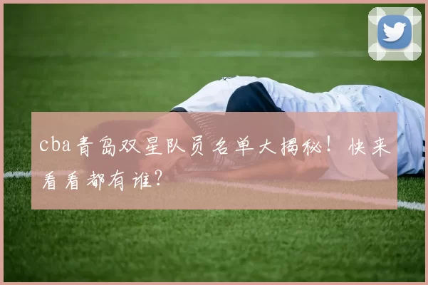 cba青岛双星队员名单大揭秘！快来看看都有谁？