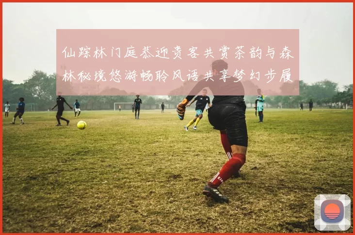 仙踪林门庭恭迎贵客共赏茶韵与森林秘境悠游畅聆风语共享梦幻步履