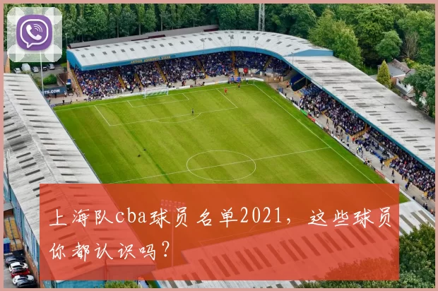 上海队cba球员名单2021，这些球员你都认识吗？